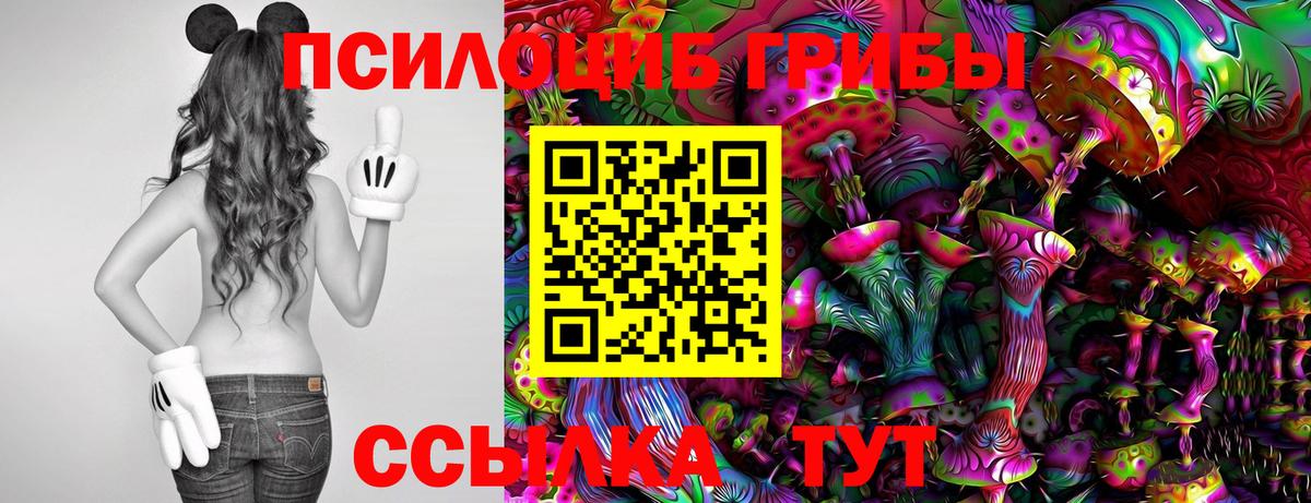 Чита  Псилоцибиновые грибы Psilocybine cubensis  как найти   Вход с VPN  Псилоцибиновые грибы мицелий 